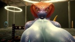 1girls 3d 3d_(artwork) anal_beads animated anthro areola areolae big_breasts big_dildo breasts cloaca cloacal_penetration dildo dildo_in_pussy dildo_insertion dildo_penetration elera female female_focus furry furry_female furry_only game gameplay gameplay_mechanics hotel_elera huge_boobs huge_breasts huge_dildo large_areolae mp4 nipples nude nude_female sex_toy snake snake_girl sound tagme video vr vr_media