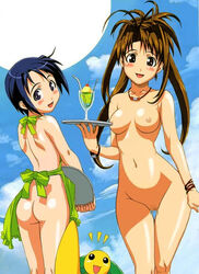 love_hina naru_narusegawa shinobu_maehara tagme