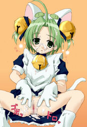 1girls animal_ears artist_request cat_girl censored cum dejiko di_gi_charat female green_hair humanoid light-skinned_female light_skin princess pussy short_hair tagme