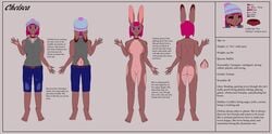 1girls anthro blue_eyes breasts bright_hair brown_fur chelsea_(dkside41) clothed clothing cute female fringe hat lagomorph mammal medium_hair model_sheet nude pink_hair pussy rabbit solo stats unknown_artist