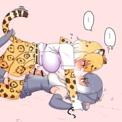 2girls animal_ears artist_request asian_small-clawed_otter_(kemono_friends) blush cowgirl_position elbow_gloves fingerless_gloves fur_collar futa_with_female futanari gloves grey_hair heavy_breathing intersex jaguar_(kemono_friends) jaguar_ears kemono_friends multicolored_hair multiple_girls open_mouth otter_ears otter_tail penis short_hair skirt smile steaming_breath swimsuit tail testicles thighhighs two-tone_hair white_hair