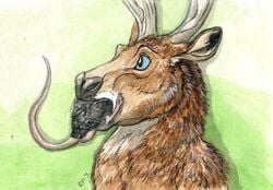 antlers balls cervine deer feral horn jayne_doe lizet mammal oral_vore rat rodent vore