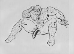 Spider-Man (Series) Rule 34 Image