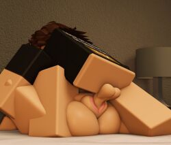 1boy 1girls 3d ass balls bottomless crimstuff nude penis pussy roblox robloxian selfcest sex square_crossover straight tagme vaginal_penetration zaduworkz