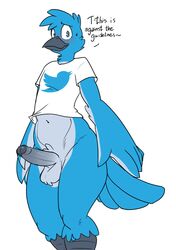 2019 anthro artbyyellowdog avian beak bird blue_eyes blue_feathers blush bottomless clothed clothing dialogue embarrassed english_text erection feathers humanoid_penis looking_at_viewer male male_only meme navel partially_clothed penis shirt simple_background smile solo sweat text tweetfur twitter uncut white_background