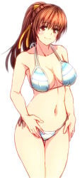1girls 846-gou blue_swimsuit breasts brown_eyes brown_hair dead_or_alive female kasumi_(doa) long_hair medium_breasts swimsuit