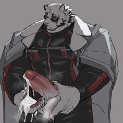 1boy 2boys abs animal_ears arknights bara black_bodysuit bodysuit boner claws closed_mouth commentary cum cum_on_body cum_on_hands ejaculation english_commentary erection furry furry_male grey_background hand_on_own_penis highres jacket jacket_on_shoulders looking_at_viewer male_focus male_only mountain_(arknights) mountain_(hardcore_rider)_(arknights) multiple_boys muscular muscular_male official_alternate_costume open_fly open_pants pants pawpads pectorals penis scar scar_across_eye scar_on_face solo solo_male sunglasses testicles tiger_boy tiger_ears tiger_stripes vhb3art white_jacket