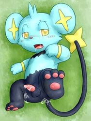 after_sex balls black_fur blue_fur blush cum cum_in_ass cum_inside cum_on_penis dripping drooling feral fur grass male nintendo pawpads penis pokémon_(species) pokemon saliva shinx solo sweat tapering_penis termeneko video_games yellow_eyes