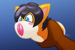 2015 animate_inanimate anthro armless black_hair blue_eyes blush canine female fox hair jasentamiia legless mammal penetrable_sex_toy pussy pussy_mouth sex_toy transformation what