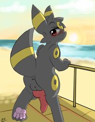 1boy 2017 animal_genitalia animal_penis anus blush canine_penis eeveelution erection knot looking_back male nintendo outside penis pokémon_(species) pokemon raised_tail rockii solo umbreon video_games