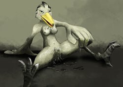 2017 4_toes anthro avian beak bird breasts digital_media_(artwork) ejaculation feathers female fingering grey_feathers laen_patisson looking_at_viewer nude orgasm platisson pose presenting pussy pussy_ejaculation pussy_juice shoebill simple_background spread_legs spreading toes wings yellow_beak