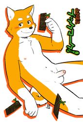 5_fingers anthro balls blush brown_eyes brown_nose canine fur humanoid_penis jeck male male_only mammal orange_fur partially_retracted_foreskin penis shiba_inu simple_background solo uncut whiskers white_fur