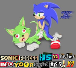 anthro breasts duo english_text erection eyelashes female furry game_grumps gloves green_eyes hedgehog humor looking_at_viewer male mammal meme open_mouth penetration penis plurmp_dankenstein_mcflurnten_the_cat_esquire_(game_grumps) pussy sex simple_background smile sonic_(series) sonic_forces sonic_the_hedgehog text tongue unknown_artist