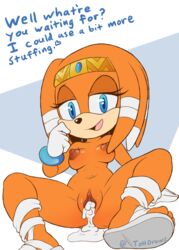 tikal the echidna from sega by the other half