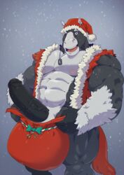 animal_genitalia animal_penis anthro balls big_balls big_penis christmas equine equine_penis erection hat holidays horse horsecock huge_balls hyper hyper_balls jodira looking_at_viewer male male_only mammal muscular muscular_male one_eye_closed open_mouth penis santa_hat smile solo taoren vein wink