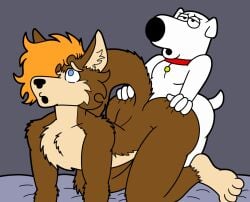 2boys alexis_the_fox brian_griffin brown_body brown_fur bubble_ass bubble_butt commission commissioner_upload doggy_style doggy_style_position fox furry furry_only gay gay_sex hand_on_ass simple_background simple_coloring simple_shading tbfm thick_thighs white_body white_fur yellow_hair