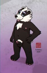 2025 3_toes 4_fingers anthro artist_name badger balls black_balls black_body black_fur black_penis blue_eyes bradley_the_badger bradley_the_badger_(game) crotch_tuft dated erection eyebrows fangs feet fingers foreskin fur genitals glans half-closed_eyes humanoid_genitalia humanoid_penis looking_at_viewer male mammal mustelid musteline narrowed_eyes navel nipples nude penis pink_glans pink_nipples pink_tongue smile solo standing tail teeth text toes tongue tongue_out tuft whiskers white_body white_fur