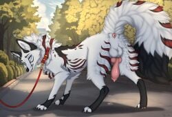 a.o.kigahara_(artist) animal_genitalia animal_penis balls black_claws black_nose black_tail_tip blue_eyes canid canine canine_genitalia canine_penis claws collar dipstick_tail feral fox fur genitals hi_res knot knotted_penis male mammal markings penis red_collar solo tail tail_anus tail_markings taka_(artist) whiskers white_balls white_body white_fur white_tail