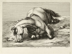 absurd_res ambiguous_gender anceint_art corpse death equid equine feral fur grass head_on_ground hi_res horse jan_van_huchtenburg lying mammal muscular muscular_feral on_front plant rock sky solo tail