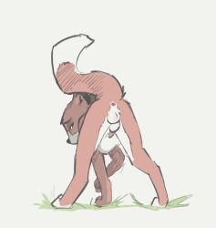 animal_genitalia animal_penis anus canid canine canine_genitalia canine_penis canis digital_media_(artwork) disney feet feral fox fur genitals half-closed_eyes hi_res looking_back male male_only mammal narrowed_eyes paws penis raised_tail rear_view red_fox simple_background solo tail the_fox_and_the_hound tod_(tfath) toes true_fox tuke
