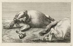 absurd_res ancient_art animal_genitalia anus big_anus corpse death duo equid equine equine_anus feral fur genitals hi_res hooves horse jan_van_huchtenburg lying male male_feral mammal nude_male on_side outside penis puffy_anus sheath sky spread_legs spreading tail