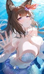 amagi_(cv)_(the_mermaid_of_the_emerald_sea)_(azur_lane) amagi_(azur_lane) amagi_(cv)_(azur_lane) azur_lane 1girl against_glass air_bubble animal_ears bangs bare_shoulders bikini blunt_bangs blush breast_press breasts brown_hair bubble cleavage collarbone eyebrows_visible_through_hair flower fox_ears hair_ornament jewelry large_breasts long_hair looking_at_viewer monster_girl multiple_tails navel necklace parted_lips purple_eyes shell short_eyebrows solo stomach strapless_bikini swimsuit tail thick_eyebrows underwater very_long_hair water white_bikini