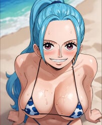 nefertari vivi from one piece by unknown artist