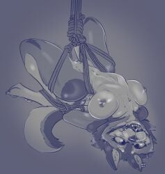 absurd_res anthro ball_gag bondage bound breasts canid canine canis cass_(disambiguation) cassarts domestic_dog female gag gagged hanging_breasts helpless hi_res legs_tied mammal rope solo wolf