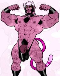 1boy absurdres animal_ears armpit_hair armpits bara beard biceps black_hair boots bulge cat_ears cat_tail dark_skin double_biceps_pose earrings extra_ears facial_hair flaccid flexing highres huge_pectorals jewelry leather leather_boots looking_at_viewer male_focus male_swimwear manly mature_male michopanq multicolored_hair muscular muscular_male nipples original pectorals penis piercing pink_background pubic_hair simple_background solo sweat sweatdrop swim_briefs tail tan tanlines thick_arms thick_eyebrows thick_thighs thighs veins white_hair wristband yellow_eyes
