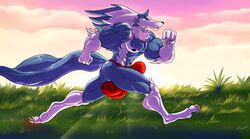 2018 4_toes 5_fingers abs anthro balls biceps blue_fur blue_hair blue_nose blue_skin bulge canine capcom clothed clothing cloud darkstalkers day digitigrade exercise eyebrows fist fur gallon grass hair hungothenomster jon_talbain male male_only mammal mane morning multicolored_fur multicolored_hair multicolored_skin muscular muscular_male muscular_thighs neck_tuft penis_outline penis_shaped_bulge pink_sky running side_view solo sweat tight_underwear toes topless tuft two_tone_fur two_tone_hair two_tone_skin underwear video_games were werewolf white_fur white_hair white_skin yellow_eyes