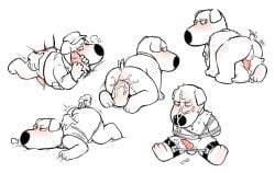 brian griffin from family guy