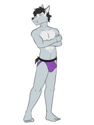 anthro blush canid canine canis clothed clothing duke_(fuze) erection erection_under_clothing fuze hi_res jockstrap jockstrap_only looking_away male mammal navel pinup pose simple_background solo topless underwear underwear_only white_background wolf