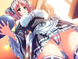 akaza amasaka_miko blush cum erect_nipples game_cg henshin_3 may-be_soft panties pink_hair shimapan skirt striped_panties underwear upskirt waitress