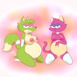 2017 anisava anthro areola bedroom_eyes big_breasts breasts canine duo eyelashes fangs feline female fox fur green_fur half-closed_eyes hi_res jenny_(anisava) lonbluewolf looking_at_viewer mammal mostly_nude multicolored_fur nipples open_mouth pink_fur pregnant pussy rosa_(anisava) seductive teeth tongue two_tone_fur white_fur