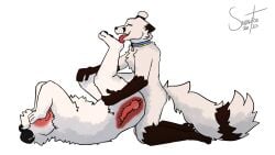 anal anal_sex animal_genitalia animal_penis anthro arctic_fox ass bear big_butt blush blushing_profusely brown_body brown_fur canid canine canine_genitalia canine_penis closed_eyes collar collar_only collar_tag colored covering covering_face digital_drawing_(artwork) digital_media_(artwork) duo feet foot_fetish foot_lick foot_play fox from_front_position fur genitals hair hi_res hindpaw internal internal_anal knot knotted_penis knotting licking lying male male/male male_penetrated male_penetrating male_penetrating_male mammal markings missionary_position nude on_back open_mouth paws penetration penile penile_penetration penis penis_in_ass polar_bear prey_penetrating_predator sex shaded simple_background size_difference small_dom_big_sub small_top small_top_big_bottom snow_the_arctic_fox(artist) tail tail_markings tongue true_fox ursine white_background white_body white_fur wide_hips x-ray_view