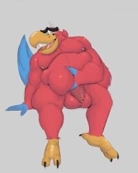 aladdin anthro avian balls bird disney flaccid furry iago male male_only overweight parrot penis sitting solo solo_male unrealrui