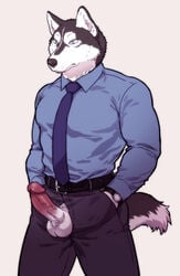 2017 anthro balls belt biped black_fur black_nose black_tail blue_clothing blue_eyes blue_shirt blue_topwear canine clothed clothing digital_media_(artwork) dress_shirt erection front_view fur glans grey_background grey_bottomwear grey_clothing grey_pants hands_in_pockets humanoid_penis husky keigo_(maririn) male male_only mammal maririn multicolored_fur multicolored_tail necktie pants penis pink_penis poking_out shirt simple_background snout solo standing two_tone_fur two_tone_tail vein veiny_penis watch white_balls white_fur white_tail