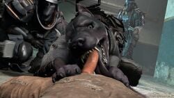 3d 3d_(artwork) aggressive ambiguous_gender ambiguous_penetrated armor being_watched big_penis bj_blazkowicz black_body black_fur blue_eyes bodily_fluids canid canine canis clothing cum cum_drip cum_in_mouth cum_inside digital_media_(artwork) dobermann domestic_dog dripping erection excessive_saliva eye_contact fangs fellatio feral feral_penetrated first_person_view fur gay genital_danger_play genital_fluids genitals group gun headgear helmet hi_res human human_on_feral human_penetrating human_penetrating_feral humanoid_genitalia humanoid_penis interspecies kampfhund looking_at_another looking_at_viewer lying male male/ambiguous male/male male_on_feral male_penetrating male_penetrating_ambiguous mammal mask obsceneeighteensfm on_back open_mouth oral oral_penetration paws penetration penile penis penis_on_tongue pinned pinning_down pinscher pov_blowjob ranged_weapon saliva sex submachine_gun teeth tongue tongue_out weapon wolfenstein zoophilia