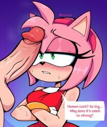 amy_rose amyfrecklz big_penis blush cock crossed_arms furry green_eyes huge_cock human imminent_oral looking_up male penis penis_awe size_worship sonic_(series) sonic_the_hedgehog_(series) surprised text uncensored worried_expression