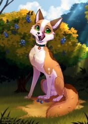 animal_genitalia balls berry canid canine collar feral food fox fruit fully_sheathed genitals green_eyes hi_res licking licking_lips male mammal outside plant quaid_(vixvalikvey) rukifox sheath shrub sitting solo tongue