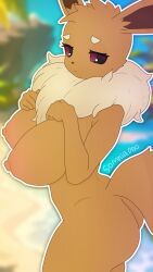eevee from pokemon