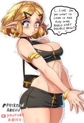 princess zelda from nintendo by anisdrawn