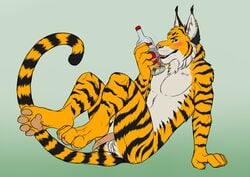 alcohol anthro balls beverage bottle ear_piercing feline furry furry_only green_eyes hybrid letigre licking male male_only mammal no_humans nude on_ground penis piercing sitting stripes tiger tigerlynx tongue tongue_out wingedwolf