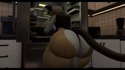 Michael (Vbadcatt) Rule 34 Video