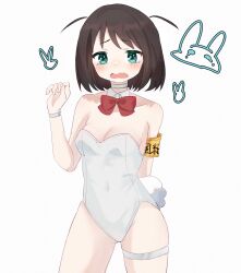 1girls binkan-chan bunnysuit embarrassed female shimoneta_to_iu_gainen_ga_sonzai_shinai_taikutsu_na_sekai short_hair zzzzzetang