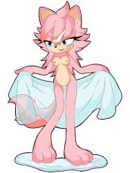 eileen_the_wolf j_nsfw sonic_(series) sonic_the_hedgehog_(series)