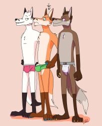 2019 anthro arctic_fox blush briefs bruce_(delsol) bulge canid canine chest_tuft clothed clothing delsol fox genitals group henry_(delsol) jockstrap looking_at_another male male/male mammal penis penis_poking_out red_fox redd_(delsol) standing tail toony trio true_fox tuft underwear underwear_only