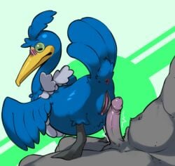 anus avian avian_butt balls barely_visible_balls barely_visible_genitalia beak big_penis blush blush_lines clitoris cramorant duo erection feathered_wings feathers female feral flustered generation_8_pokemon genitals humanoid humanoid_genitalia humanoid_genitalia_on_feral humanoid_on_feral humanoid_penis humanoid_pussy humanoid_pussy_on_feral interspecies looking_back male male/female motion_lines nervous nintendo on_lap penis pokemon pokemon_(species) pokephilia pussy simple_background teasing undercover_bluejay unknown_species wings zoophilia