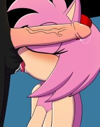 amy_rose ball_licking ball_worship ballsack blazeshine licking shadow_the_hedgehog sonic_(series) sonic_the_hedgehog_(series) tongue_out