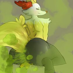 braixen from nintendo by archenarie